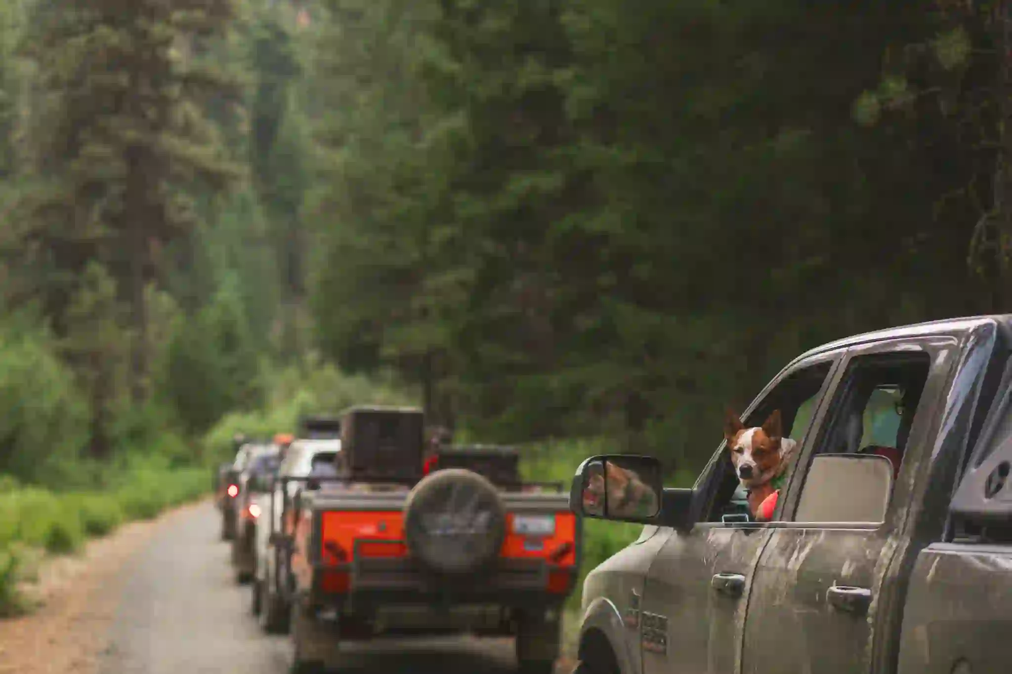 An OPUS camper on the Oregon Back Country Discovery Route