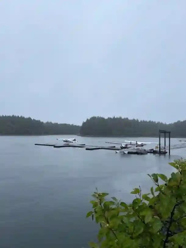 Floatplanes on a rainy Alaskan bay